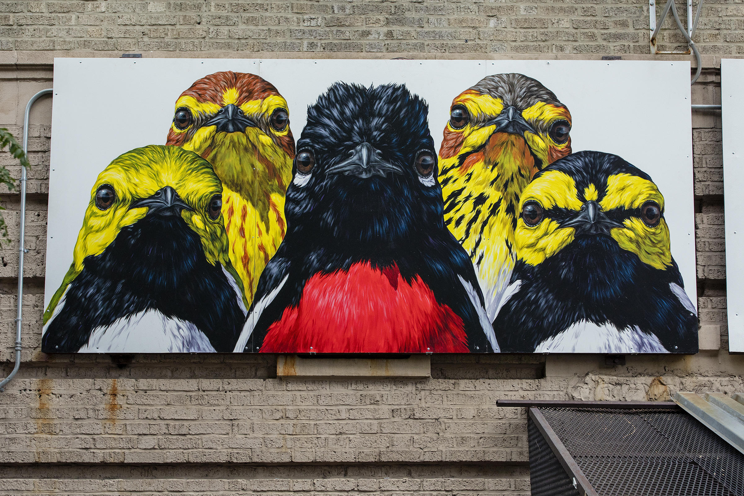 Mural of 5 Warblers