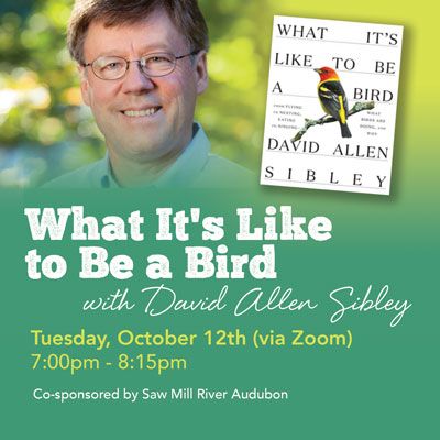 Photo of David Allen Sibley with the cover of What It's Like to be a Bird