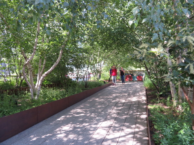tree lined walkway on the High Line