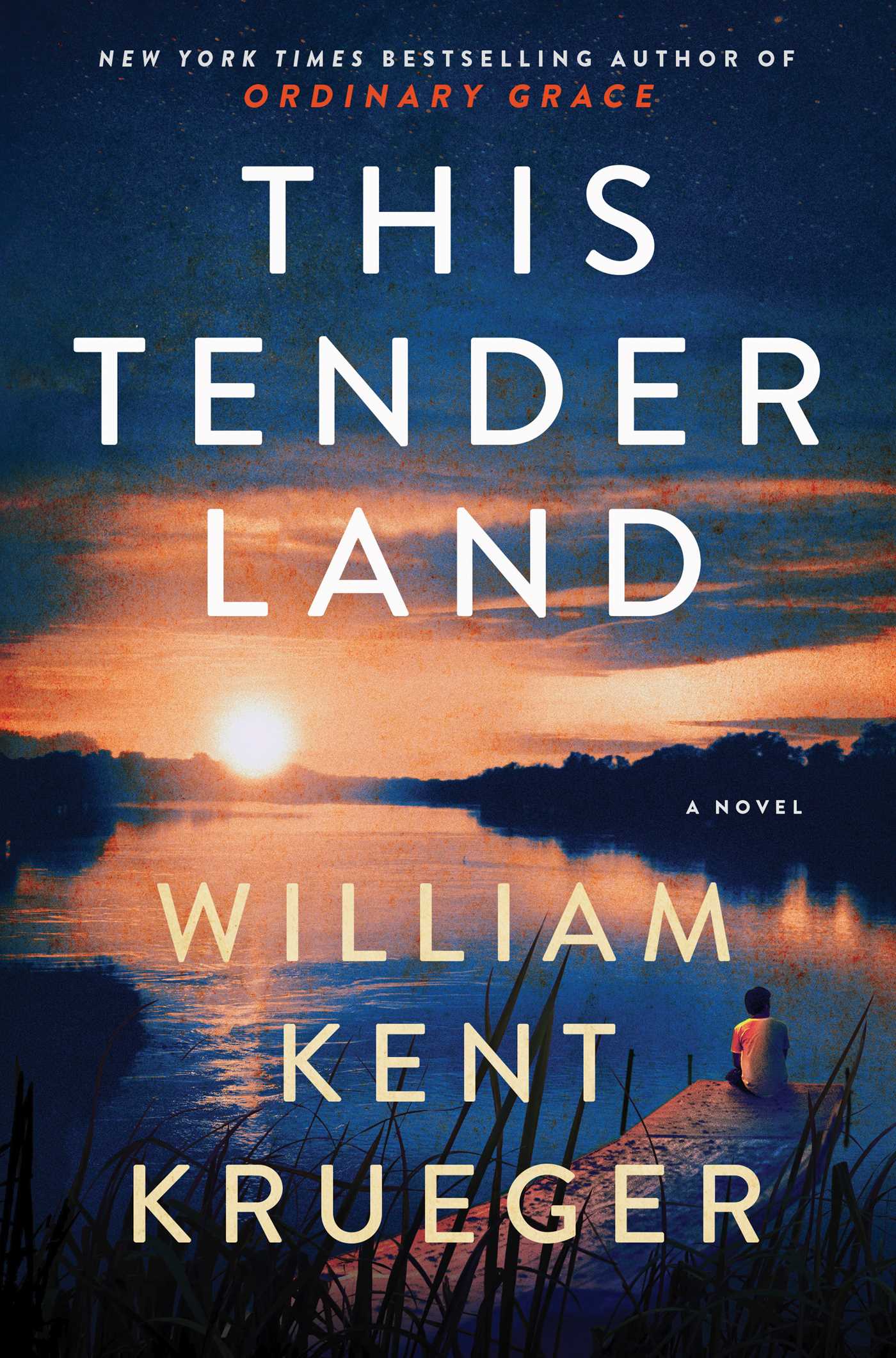 cover of This Tender Land