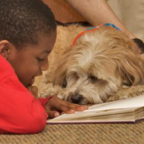 Boy reading to dog