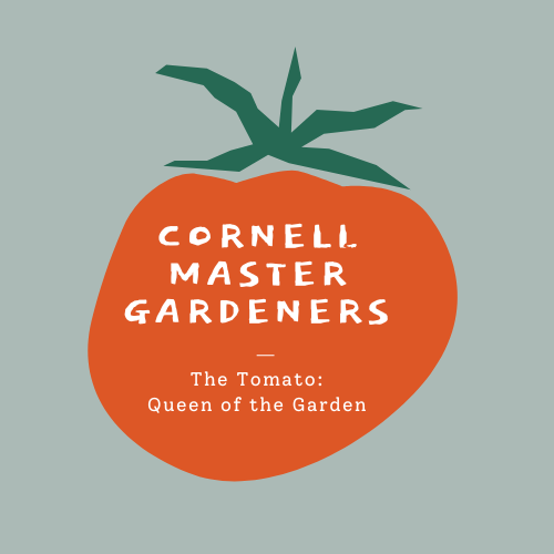 Tomatoes ad Gardening