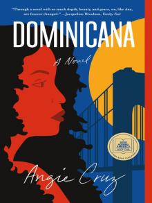 Dominicana A Novel Angie Cruz