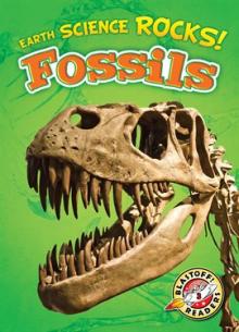 Fossils by Chris Bowman