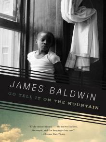 Go Tell It on the Mountain Vintage International  by James Baldwin
