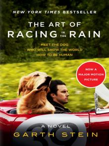 The Art of Racing in the Rain A Novel by Garth Stein