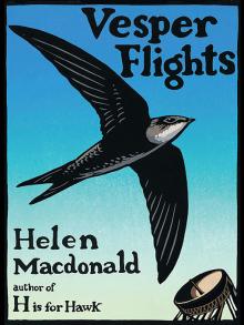 Vesper Flights by Helen Macdonald, book cover
