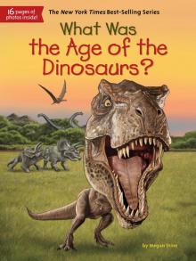 What Was the Age of the Dinosaurs? What Was?  by Megan Stine