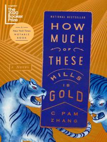 Book cover for "How Much of These Hills Is Gold" by C Pam Zhang