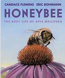 Book cover for "Honeybee: The Busy Life of the Apis Mellifera"