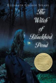 Book cover for "The Witch of Blackbird Pond"