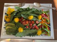 Claudette's Garden Salad