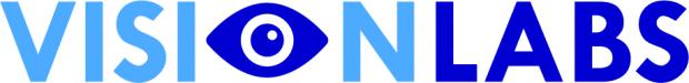 VisionLabs Logo