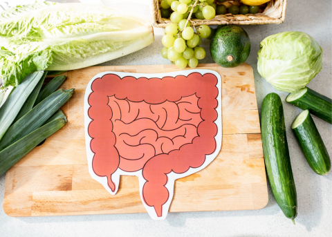 cutout cartoon of intestines on a cutting board with vegetables